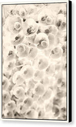 Load image into Gallery viewer, Flowers within Flowers - Canvas Print
