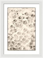 Load image into Gallery viewer, Flowers within Flowers - Framed Print

