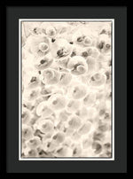 Load image into Gallery viewer, Flowers within Flowers - Framed Print
