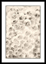 Load image into Gallery viewer, Flowers within Flowers - Framed Print

