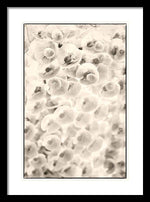 Load image into Gallery viewer, Flowers within Flowers - Framed Print
