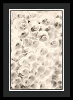 Load image into Gallery viewer, Flowers within Flowers - Framed Print
