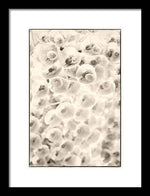 Load image into Gallery viewer, Flowers within Flowers - Framed Print
