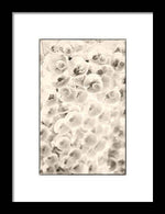 Load image into Gallery viewer, Flowers within Flowers - Framed Print
