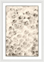 Load image into Gallery viewer, Flowers within Flowers - Framed Print
