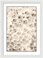 Load image into Gallery viewer, Flowers within Flowers - Framed Print
