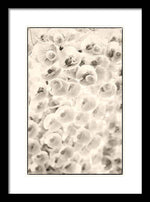 Load image into Gallery viewer, Flowers within Flowers - Framed Print
