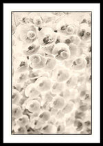 Load image into Gallery viewer, Flowers within Flowers - Framed Print
