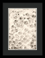 Load image into Gallery viewer, Flowers within Flowers - Framed Print
