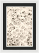 Load image into Gallery viewer, Flowers within Flowers - Framed Print
