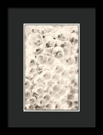 Load image into Gallery viewer, Flowers within Flowers - Framed Print
