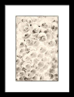 Load image into Gallery viewer, Flowers within Flowers - Framed Print
