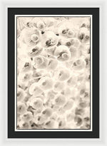 Load image into Gallery viewer, Flowers within Flowers - Framed Print
