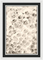 Load image into Gallery viewer, Flowers within Flowers - Framed Print
