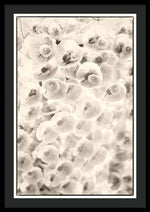 Load image into Gallery viewer, Flowers within Flowers - Framed Print

