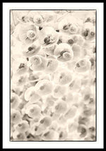 Load image into Gallery viewer, Flowers within Flowers - Framed Print
