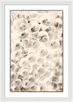 Load image into Gallery viewer, Flowers within Flowers - Framed Print
