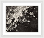 Load image into Gallery viewer, Fluid Structures - Framed Print
