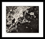 Load image into Gallery viewer, Fluid Structures - Framed Print
