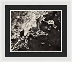 Load image into Gallery viewer, Fluid Structures - Framed Print
