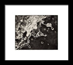 Load image into Gallery viewer, Fluid Structures - Framed Print
