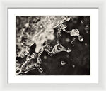 Load image into Gallery viewer, Fluid Structures - Framed Print
