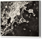 Load image into Gallery viewer, Fluid Structures - Acrylic Print
