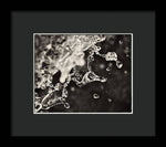 Load image into Gallery viewer, Fluid Structures - Framed Print
