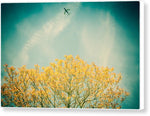 Load image into Gallery viewer, Flying High - Canvas Print
