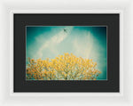 Load image into Gallery viewer, Flying High - Framed Print
