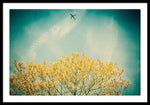 Load image into Gallery viewer, Flying High - Framed Print
