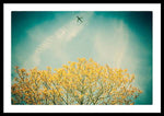 Load image into Gallery viewer, Flying High - Framed Print
