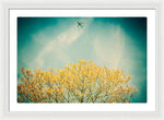 Load image into Gallery viewer, Flying High - Framed Print
