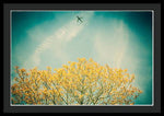 Load image into Gallery viewer, Flying High - Framed Print
