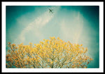 Load image into Gallery viewer, Flying High - Framed Print
