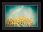 Load image into Gallery viewer, Flying High - Framed Print
