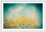 Load image into Gallery viewer, Flying High - Framed Print
