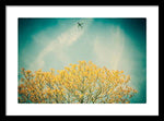 Load image into Gallery viewer, Flying High - Framed Print
