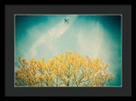 Load image into Gallery viewer, Flying High - Framed Print
