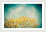 Load image into Gallery viewer, Flying High - Framed Print

