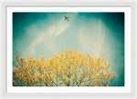 Load image into Gallery viewer, Flying High - Framed Print
