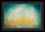 Load image into Gallery viewer, Flying High - Framed Print

