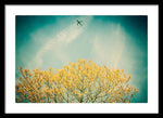 Load image into Gallery viewer, Flying High - Framed Print
