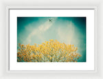 Load image into Gallery viewer, Flying High - Framed Print
