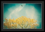 Load image into Gallery viewer, Flying High - Framed Print
