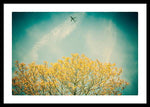 Load image into Gallery viewer, Flying High - Framed Print
