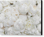 Load image into Gallery viewer, Full Peonies - Canvas Print

