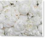 Load image into Gallery viewer, Full Peonies - Canvas Print
