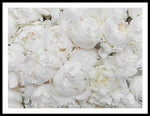 Load image into Gallery viewer, Full Peonies - Framed Print
