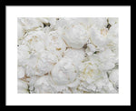 Load image into Gallery viewer, Full Peonies - Framed Print
